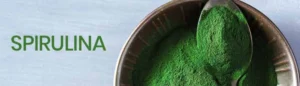 spirulina