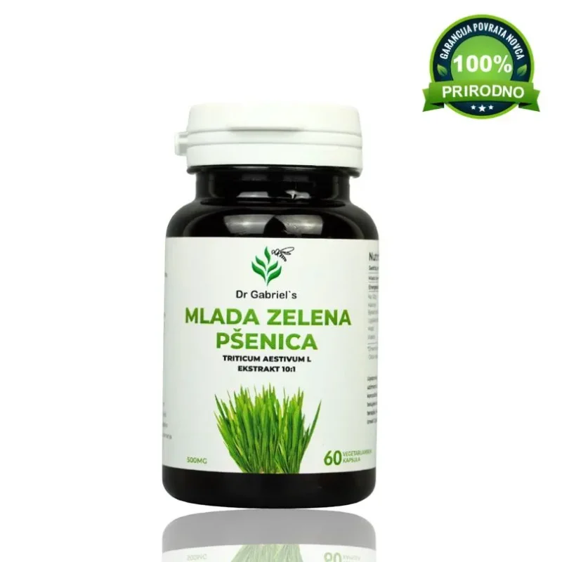 mlada zelena psenica